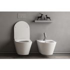 Sanovit AVVA fali WC - mély öblítés - perem nélküli - rejtett szerelésű