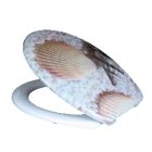 Lecsapódásgátlós duroplast WC ülőke Kagylós mintás, rozsdamentes fémzsanérral