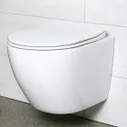 Delos WH fehér mély öblítésű perem nélküli fali rimless WC soft-close ülőkével