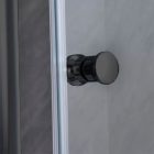 Flexi állítható egyszárnyú zuhanyajtó 86-101x185 cm fekete