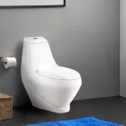 Coral Monoblokkos wc kagyló alsó kifolyással, tartállyal, wc tetővel