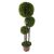 Prémium gömb buxus