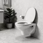 Roya fali WC ülőkével