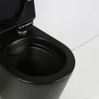 Ride fekete perem nélküli mély öblítésű fali, rimless WC soft close ülőkével